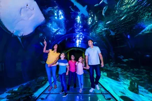 360 Ocean Tunnel (2)
